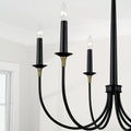 CAPITAL LIGHTING, AMARA CHANDELIER, CHANDELIER LIGHT