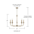 CAPITAL LIGHTING, PRESLEY CHANDELIER, CHANDELIER LIGHT