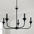 CAPITAL LIGHTING, PRESLEY CHANDELIER, CHANDELIER LIGHT