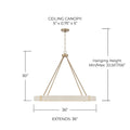 CAPITAL LIGHTING, DELANEY CHANDELIER, CHANDELIER LIGHT