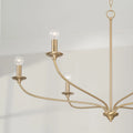 CAPITAL LIGHTING, DOLAN CHANDELIER, CHANDELIER LIGHT