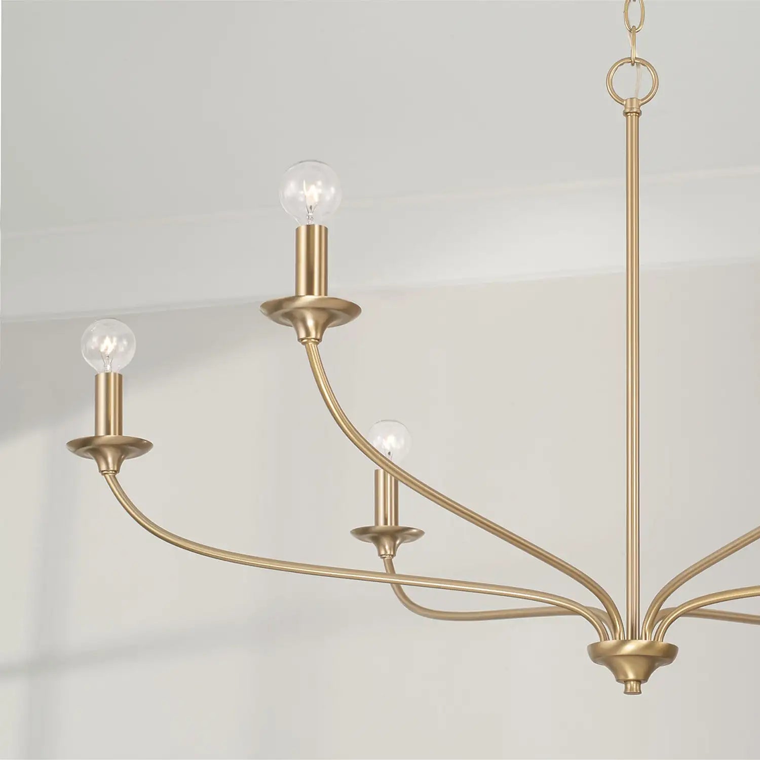 CAPITAL LIGHTING, DOLAN CHANDELIER, CHANDELIER LIGHT