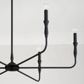 CAPITAL LIGHTING, PALOMA CHANDELIER, CHANDELIER LIGHT