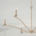 CAPITAL LIGHTING, GRADY CHANDELIER, CHANDELIER LIGHT
