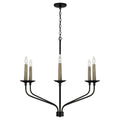 CAPITAL LIGHTING, WILDER CHANDELIER, CHANDELIER LIGHT