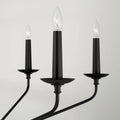 CAPITAL LIGHTING, WILDER CHANDELIER, CHANDELIER LIGHT