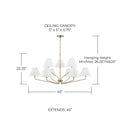 CAPITAL LIGHTING, CHADWICK CHANDELIER, CHANDELIER LIGHT