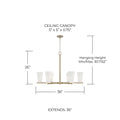 CAPITAL LIGHTING, ROMY CHANDELIER, CHANDELIER LIGHT
