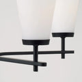 CAPITAL LIGHTING, DRAKE CHANDELIER, CHANDELIER LIGHT
