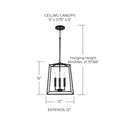 CAPITAL LIGHTING, THEA FOYER, PENDANT LIGHT