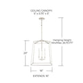 CAPITAL LIGHTING, THEA FOYER, PENDANT LIGHT