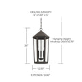 CAPITAL LIGHTING, ELLSWORTH OUTDOOR HANGING-LANTERN, OUTDOOR CEILING LIGHT