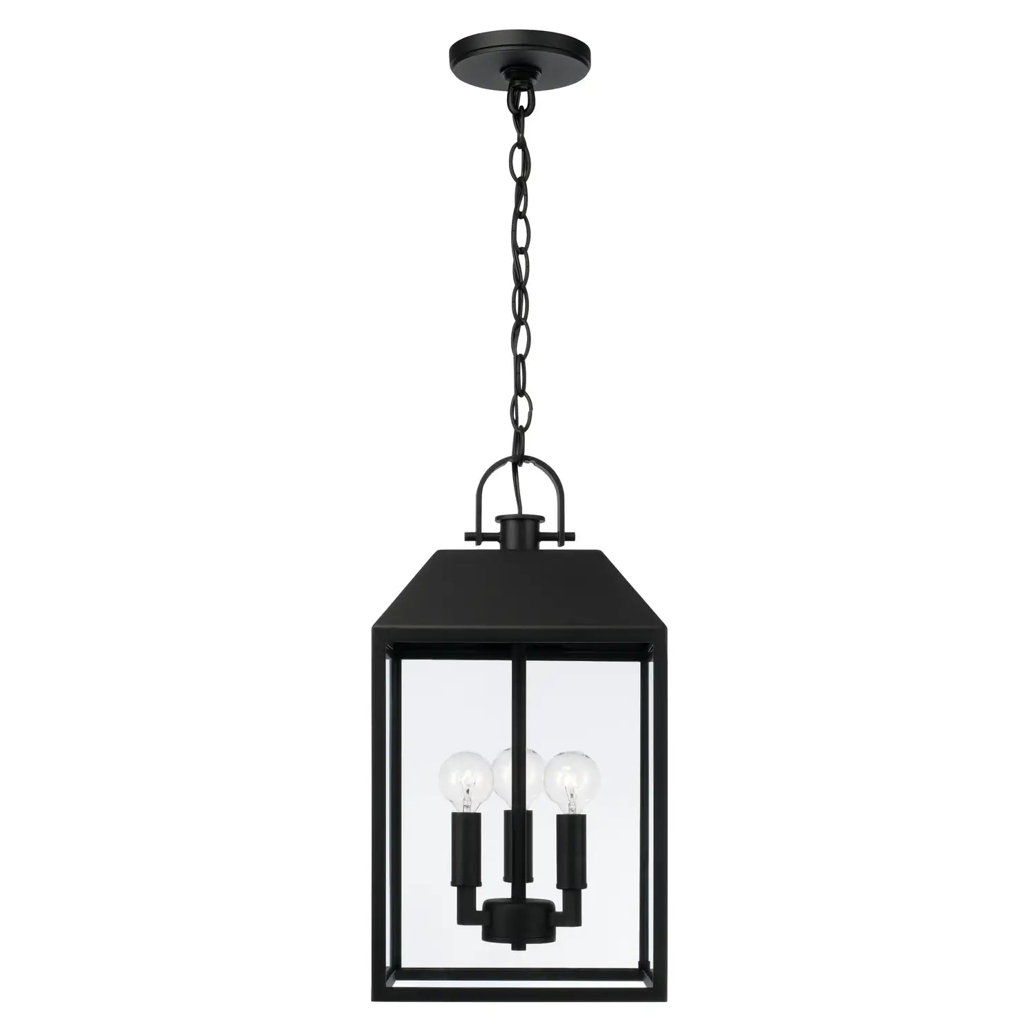 CAPITAL LIGHTING, NELSON OUTDOOR HANGING-LANTERN, OUTDOOR CEILING LIGHT