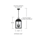 CAPITAL LIGHTING, NELSON OUTDOOR HANGING-LANTERN, OUTDOOR CEILING LIGHT
