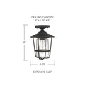 CAPITAL LIGHTING, CREEKSIDE OUTDOOR FLUSH MOUNT, OUTDOOR CEILING LIGHT