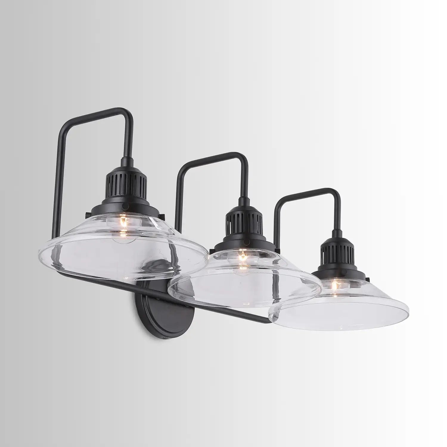 CAPITAL LIGHTING, ROAN VANITY, VANITY LIGHT