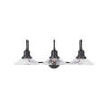 CAPITAL LIGHTING, ROAN VANITY, VANITY LIGHT