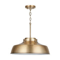 CAPITAL LIGHTING, OAKWOOD PENDANT, PENDANT LIGHT