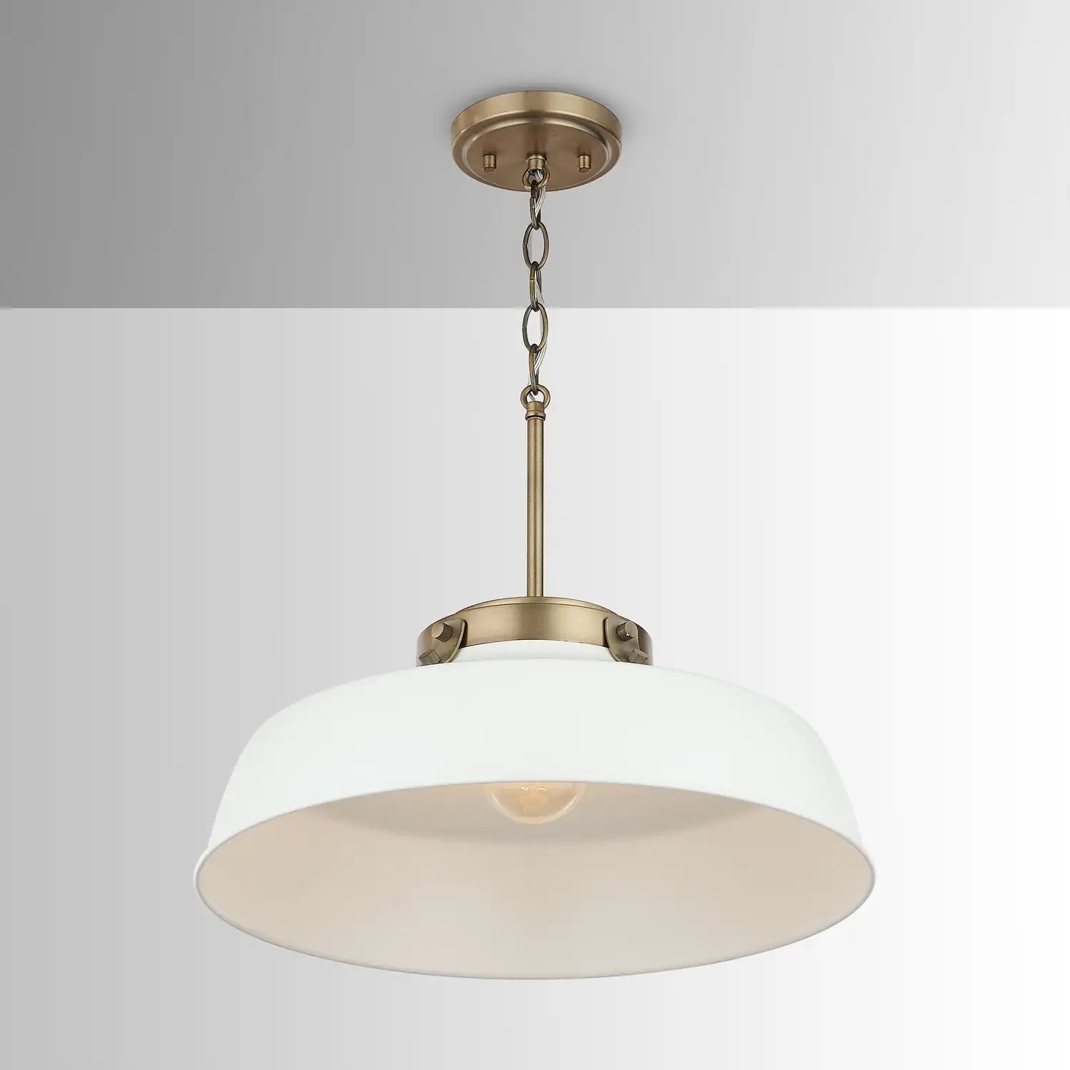 CAPITAL LIGHTING, OAKWOOD PENDANT, PENDANT LIGHT
