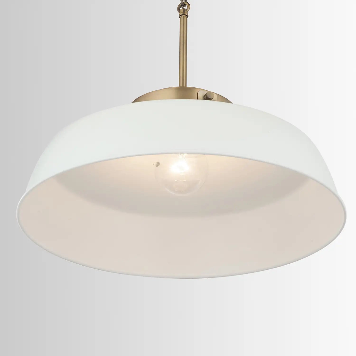 CAPITAL LIGHTING, OAKWOOD PENDANT, PENDANT LIGHT