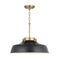 CAPITAL LIGHTING, OAKWOOD PENDANT, PENDANT LIGHT