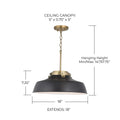 CAPITAL LIGHTING, OAKWOOD PENDANT, PENDANT LIGHT