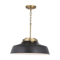 AUSTIN ALLEN & CO, OAKWOOD PENDANT, PENDANT LIGHT