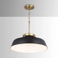 CAPITAL LIGHTING, OAKWOOD PENDANT, PENDANT LIGHT