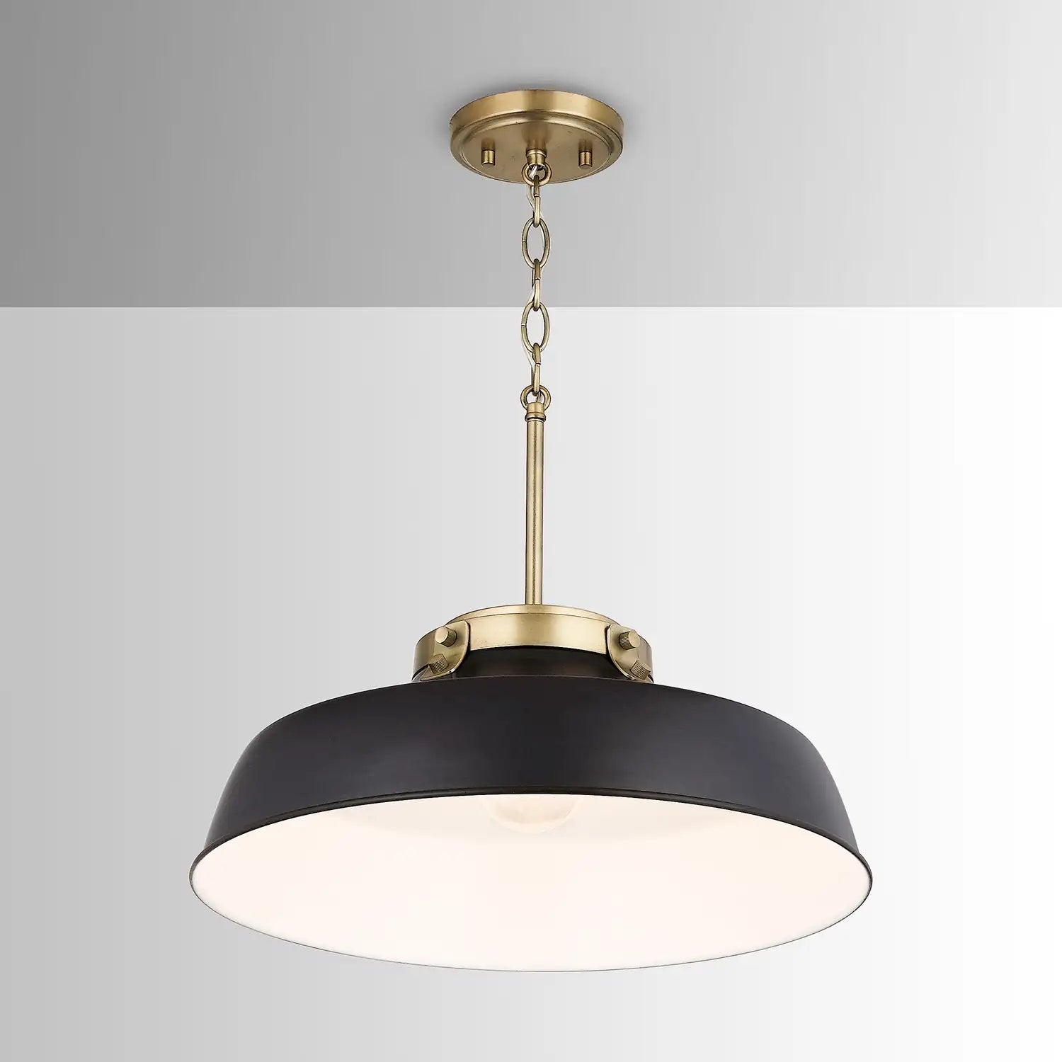 CAPITAL LIGHTING, OAKWOOD PENDANT, PENDANT LIGHT