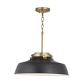 CAPITAL LIGHTING, OAKWOOD PENDANT, PENDANT LIGHT