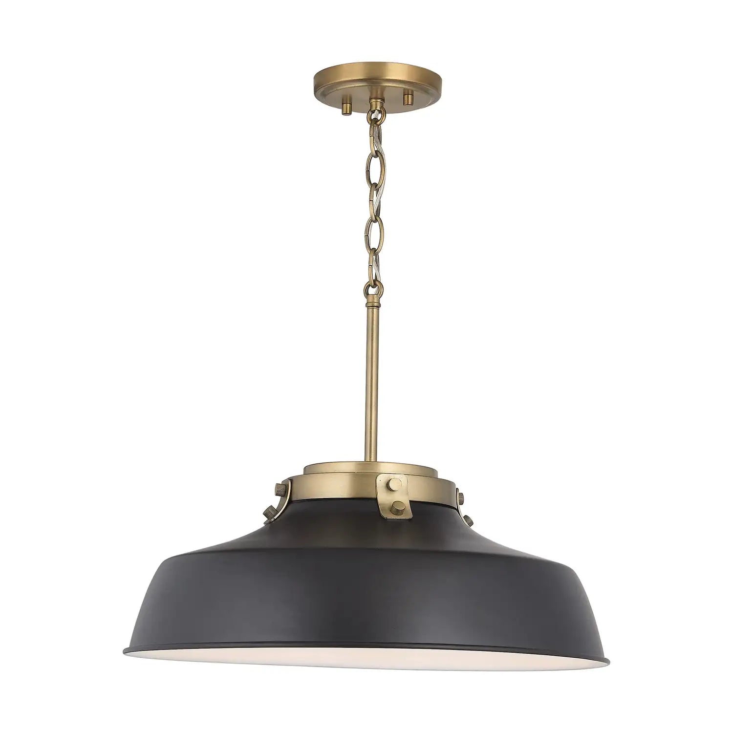 CAPITAL LIGHTING, OAKWOOD PENDANT, PENDANT LIGHT
