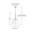 CAPITAL LIGHTING, CORDE PENDANT, PENDANT LIGHT