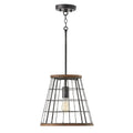 CAPITAL LIGHTING, BRACKEN PENDANT, PENDANT LIGHT