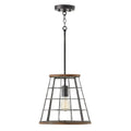 CAPITAL LIGHTING, BRACKEN PENDANT, PENDANT LIGHT