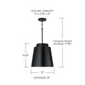 CAPITAL LIGHTING, PRATT PENDANT, PENDANT LIGHT