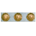 CRYSTORAMA, BROCHE BATHROOM VANITY, VANITY LIGHT