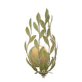 CRYSTORAMA, BROCHE SCONCE, WALL SCONCES