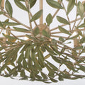 CRYSTORAMA, BROCHE CHANDELIER, CHANDELIER LIGHT