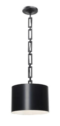 CRYSTORAMA, BRIAN PATRICK FLYNN ALSTON PENDANT, PENDANT LIGHT