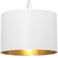 CRYSTORAMA, BRIAN PATRICK FLYNN ALSTON PENDANT, PENDANT LIGHT