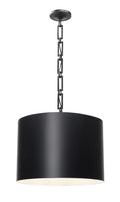 CRYSTORAMA, BRIAN PATRICK FLYNN ALSTON PENDANT, PENDANT LIGHT