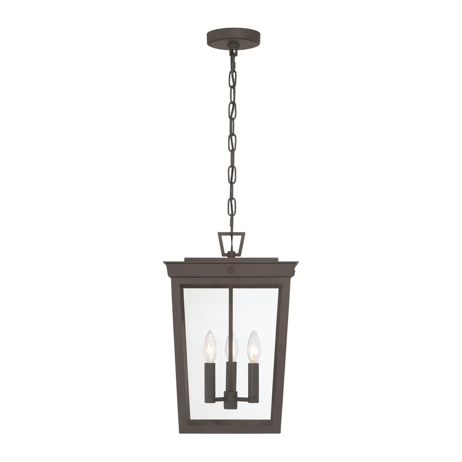 CRYSTORAMA BELMONT OUTDOOR PENDANT