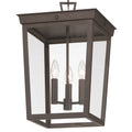 CRYSTORAMA BELMONT OUTDOOR PENDANT