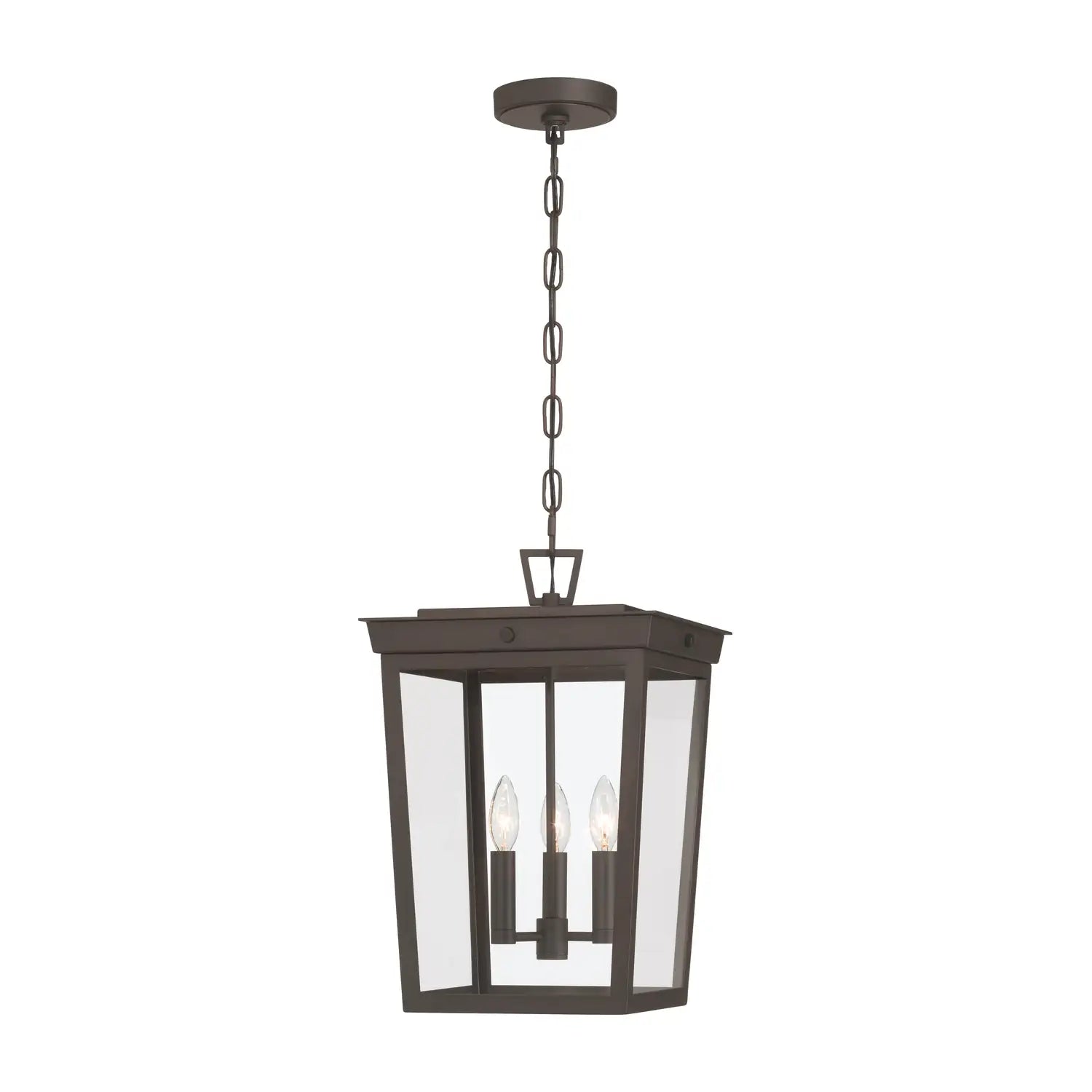 CRYSTORAMA BELMONT OUTDOOR PENDANT