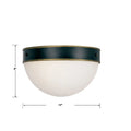 CRYSTORAMA, BRIAN PATRICK FLYNN CAPSULE TEXTURED OUTDOOR FLUSH MOUNT, OUTDOOR CEILING LIGHTS