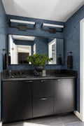 CRYSTORAMA, CLINTON INTEGRATED LED PICTURE LIGHT, PICTURE LIGHTS