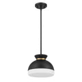 CRYSTORAMA, BRIAN PATRICK FLYNN GIDGET PENDANT, PENDANT LIGHT