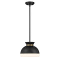 CRYSTORAMA, BRIAN PATRICK FLYNN GIDGET PENDANT, PENDANT LIGHT