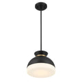 CRYSTORAMA, BRIAN PATRICK FLYNN GIDGET PENDANT, PENDANT LIGHT