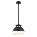 CRYSTORAMA, BRIAN PATRICK FLYNN GIDGET PENDANT, PENDANT LIGHT